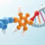 nukleotidy nucleotides molecular structure showing nitrogenous base sugar phosphate group building blocks of DNA and RNA