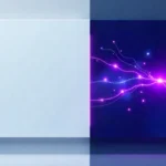 Rapelusr privacy protection concept showing secure data handling with user control toggles and transparent safety features